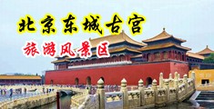 色女人操逼中国北京-东城古宫旅游风景区